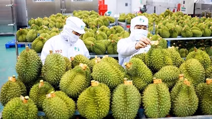 China remains top importer of Vietnam's goods