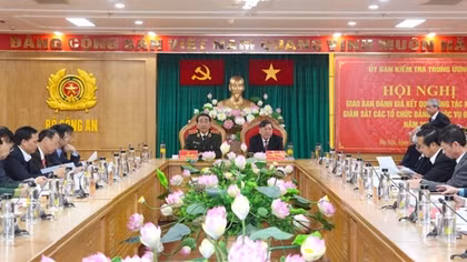 Party committees of Central agencies resolutely fight wrongdoings in economic activities