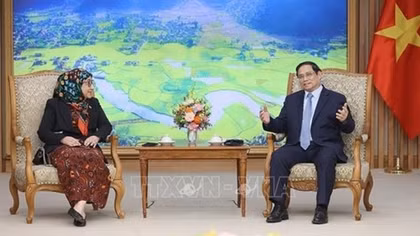 PM Pham Minh Chinh hosts Bruneian Ambassador