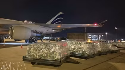 Nearly 100 tonnes of Vietnamese fruits, vegetables airlifted to UAE