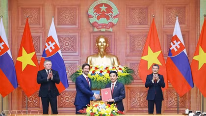 Vietnamese, Slovak PMs witness exchange of documents, chair joint press briefing