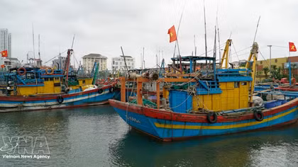 An Giang ramps up action to meet EC's anti-IUU fishing requirements