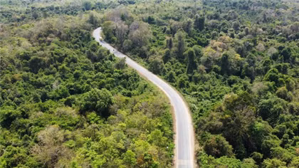Vietnam launches US$102 million initiative to protect forests, boost rural incomes
