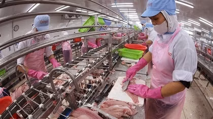Agro-forestry-fishery exports rise nearly 6% in Q1