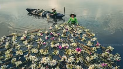 International Photography Festival 2022 to kick off in HCMC