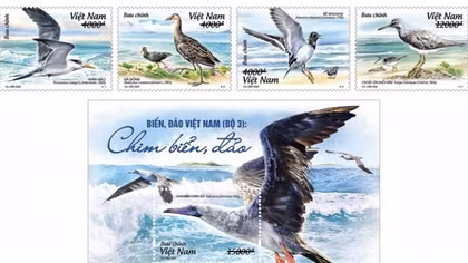 Postage stamps featuring Vietnamese sea birds to be issued