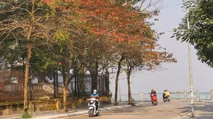 Poetic Hanoi in leaf falling season