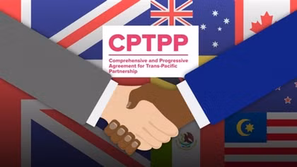 Vietnamese exports to CPTPP markets enjoy positive growth