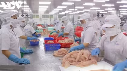 Pangasius exports likely to rake in US$2.6 billion this year