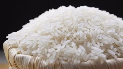 EVFTA promotes Vietnam's rice exports to EU