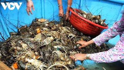 Aquatic sector capitalises on opportunities from FTAs