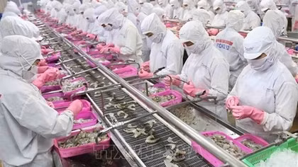 Mobile phone app for Vietnam Shrimp Forum released