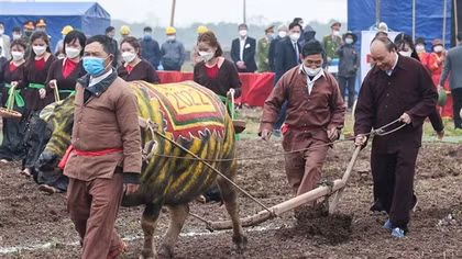 President Nguyen Xuan Phuc performs traditional New Year ploughing festival
