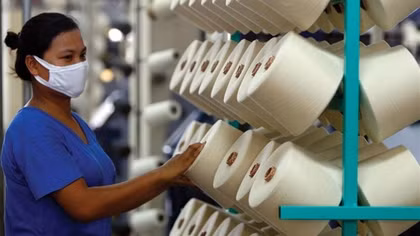 Fibre exports hit a record high of US$5.5 billion