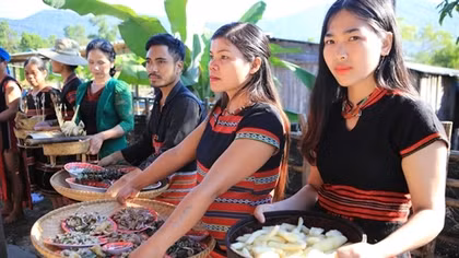Vietnam recognises 10 more national intangible cultural heritages
