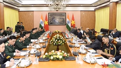 Vietnam and India seek stronger defence ties