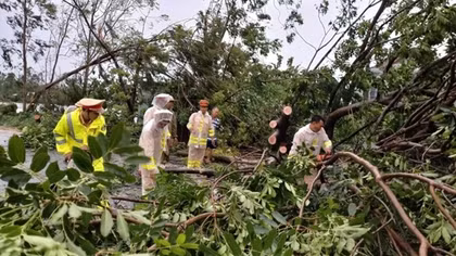 Police in Central region support local people in overcoming aftermath of storm