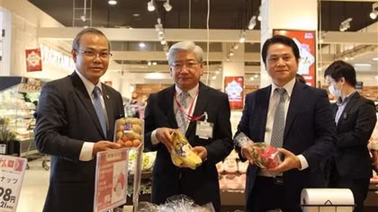 Vietnamese Goods Week underway in Japan