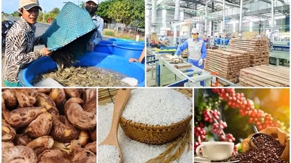 Bright prospects ahead for Vietnamese exports to Australia