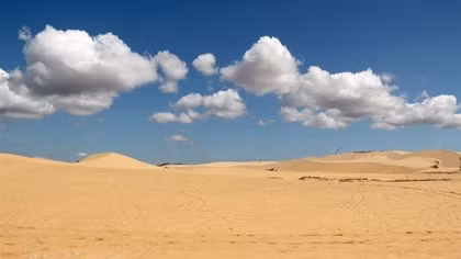 The wild beauty of "Sub-Saharan Desert" in Binh Thuan