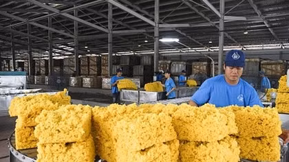 Rubber exports gross US$2.32 billion over nine months