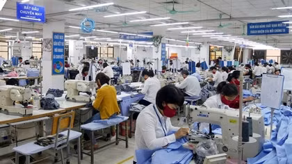 Vietnam, Poland capitalize on EVFTA preferences