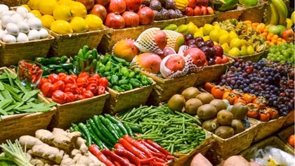 Vietrade to host consulting session for exports to Germany