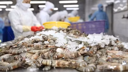 Vietnamese market in fifth place for shrimp exports to US in 2021