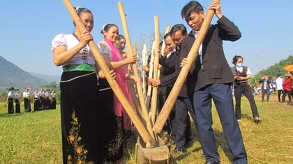 ‘Young rice festival’ of Thai people takes place in Lai Chau provine