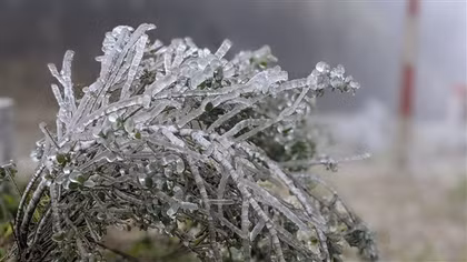 Cao Bang: Frost covers top of Mount Phja Oac