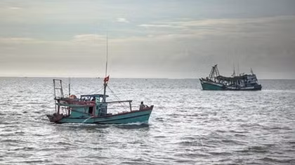 Vietnam ready to cooperate and share experience in combating illegal fishing