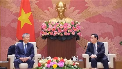 Top legislator welcomes Japanese firm’s interest in clean energy development in Vietnam