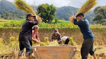 Red Co Lao ethnics preserve traditional values