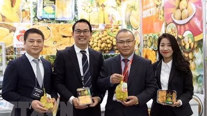 Vietnamese fruits have great opportunities to enter Japan