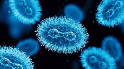 Vietnam early prepares for monkeypox