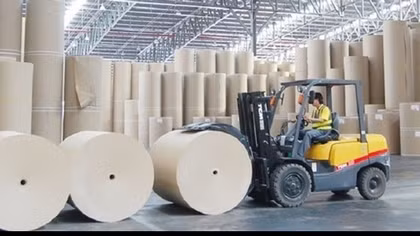 Paper industry expects to maintain high growth momentum