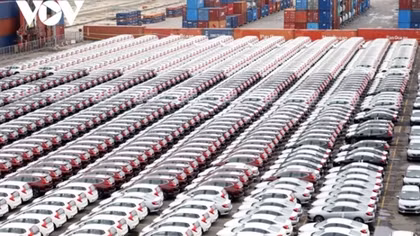 Vietnam imports nearly 23,000 CBU cars in November