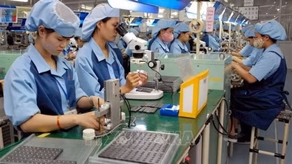 Unemployment insurance fund to soon complete payments for COVID-19-hit employees