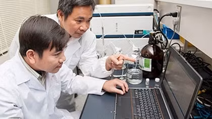Vietnamese scientist finds anti-cancer compounds from rice husks