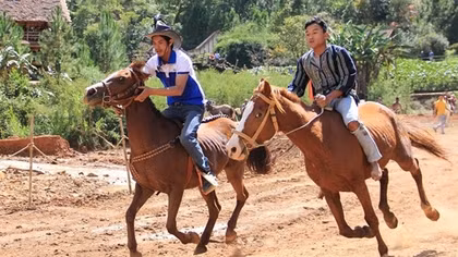 Special horse racing to take place in Da Lat