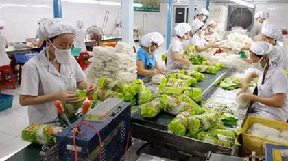 Fruit and vegetable exports to EU market likely to rise by 15% this year