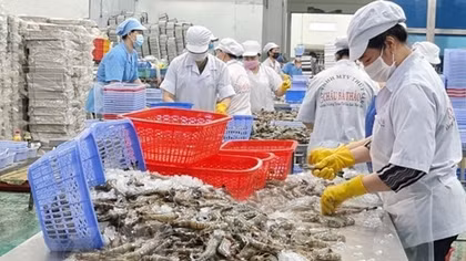 Efforts made to boost seafood cooperation between Vietnam, India
