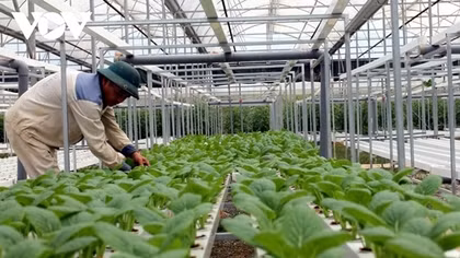 Agricultural sector to develop production in line with international standards