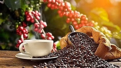 Bright prospects ahead for coffee exports due to high export prices