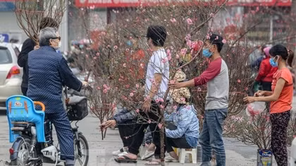 Festive atmosphere prevails at spring flower market in Hanoi