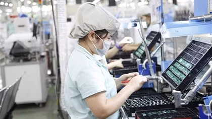 WTO names Vietnam among 30 largest commodity import-export economies