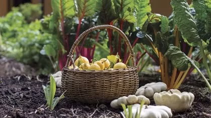 Annual export of organic agricultural products reaches US$335 mln