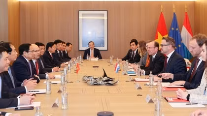 Vietnam treasures all-around cooperation and partnership with Luxembourg