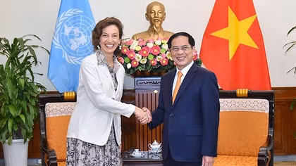 Vietnam looks to UNESCO’s support for World Heritage Committee candidacy: FM