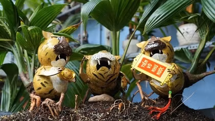 Unique tiger-shaped bonsai trees for Tet decorations